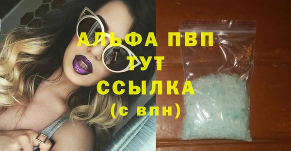 спиды Рославль