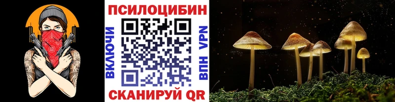 Псилоцибиновые грибы ЛСД Инта